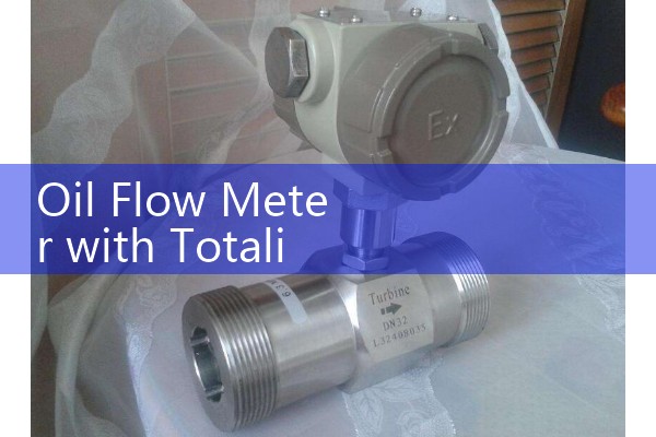 Oil Flow Meter with Totalizer: Tracking Daily Cumulative Liquid Volumes Effortlessly